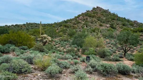 10795 E Copa De Oro Lane #33, Gold Canyon, AZ 85118