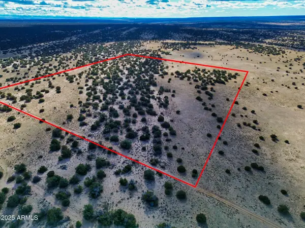 Lot 78 Witch Well Ranches -- #78, St Johns, AZ 85936