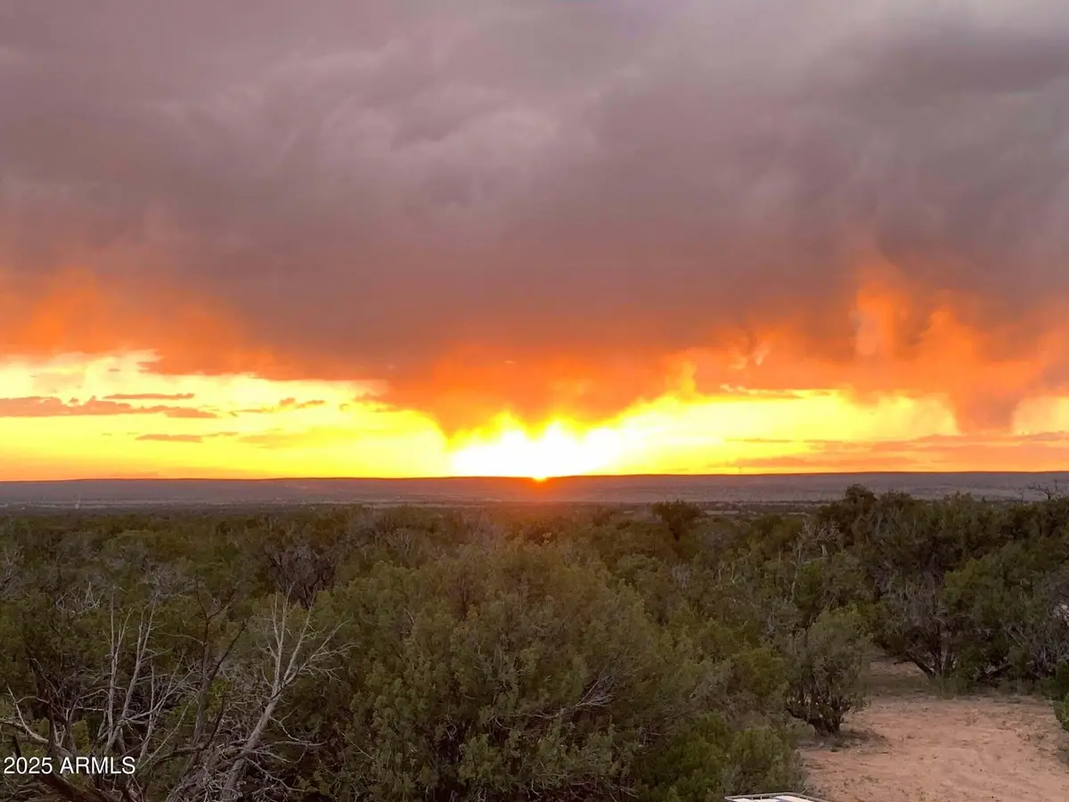 9 County Road N7340 -- #14, Puerco, AZ 85936 - Image #1