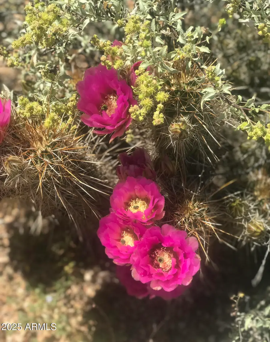 36270 E Hemlock Drive #P, Marana, AZ 85653 - Image #2