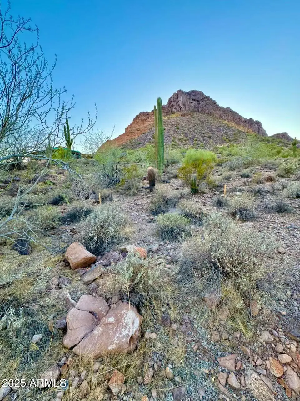 0000 N Bear Paw Pass, North Pinal, AZ 85142 - Image #1