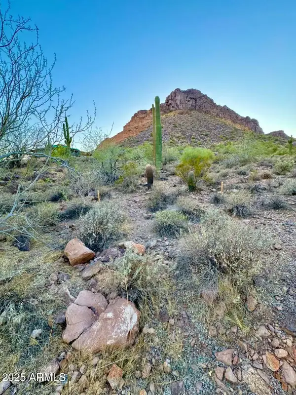 0000 N Bear Paw Pass, Queen Creek, AZ 85142