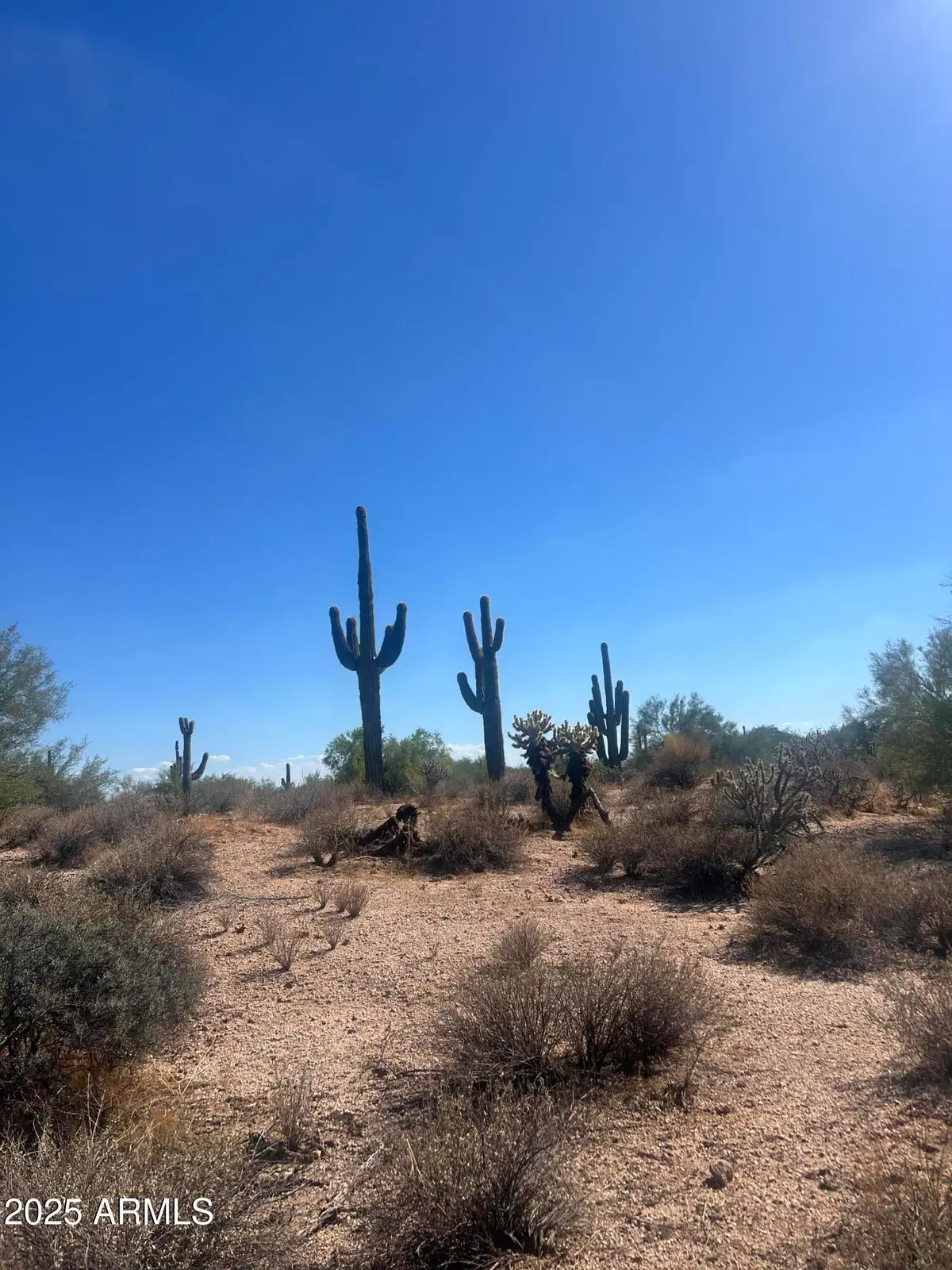 33505 N 55th Street, Deer Valley, AZ 85331 - Image #1