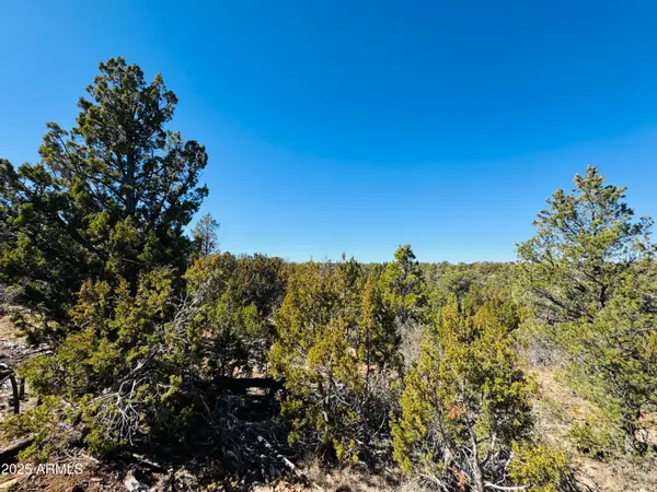 4108 Sunset Ridge Loop #135, Happy Jack, AZ 86024