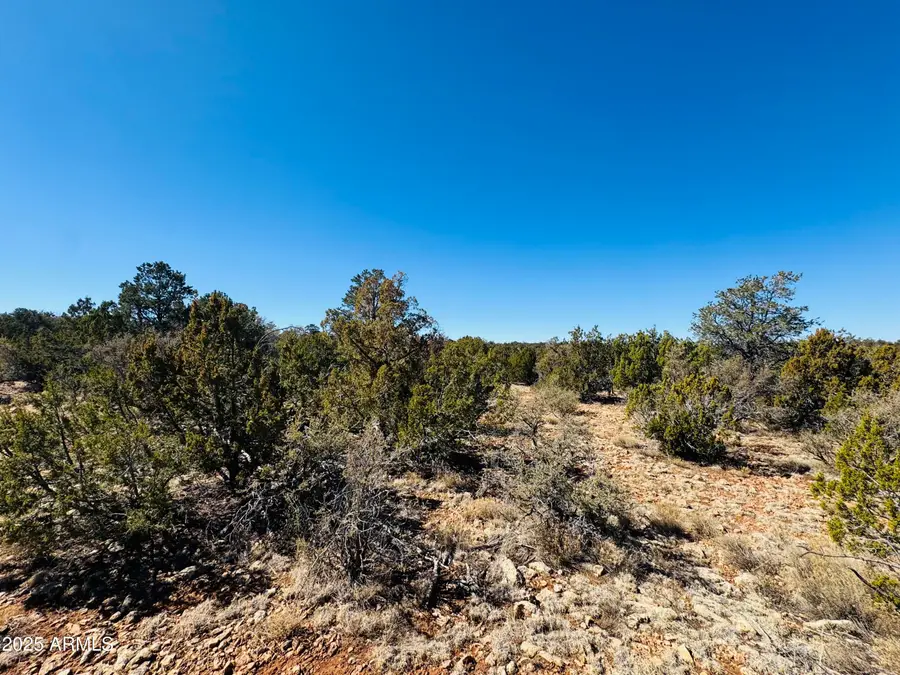 4108 Sunset Ridge Loop #135, Blue Ridge, AZ 86024 - Image #2