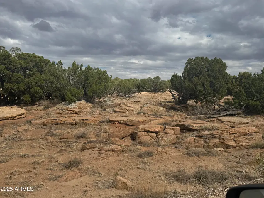 Lot 1096 Woodland Valley Ranch -- #1096, Saint Johns, AZ 85936 - Image #3