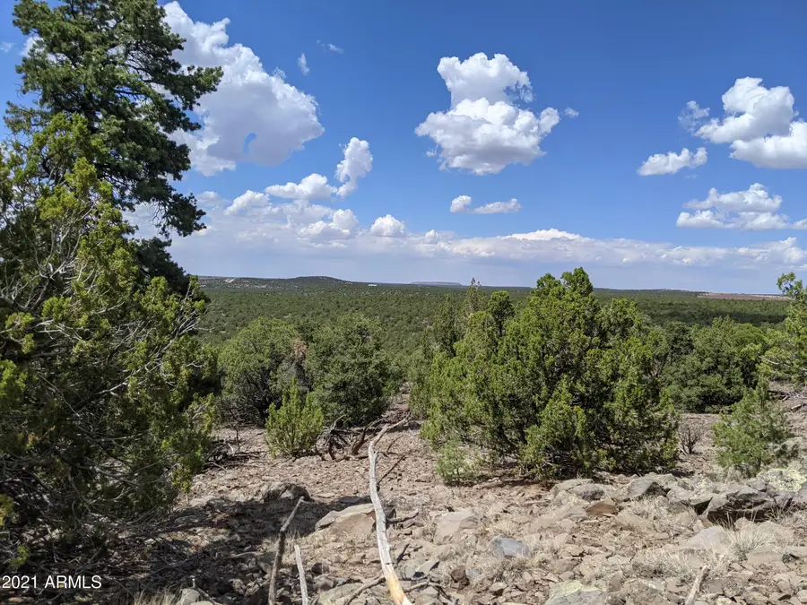lot 79 Ranch Road #79, Vernon, AZ 85940 - Image #3
