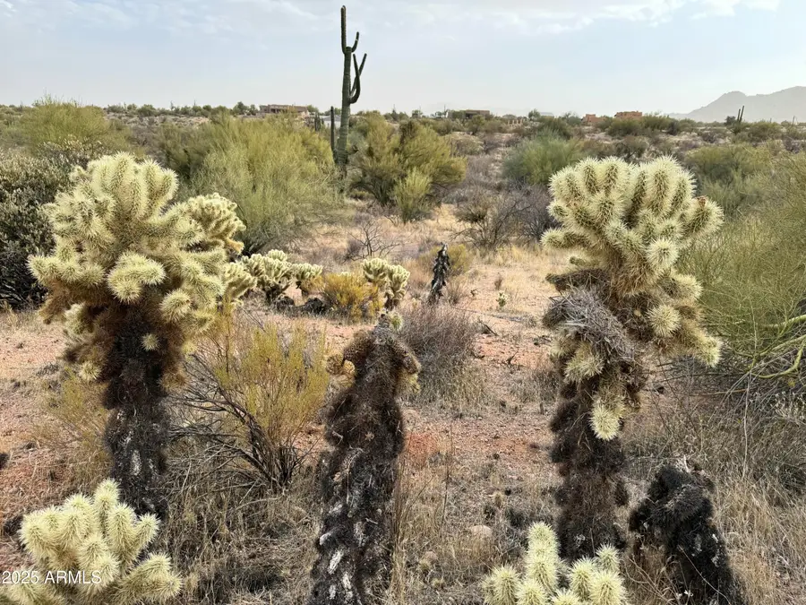 139xx E Montello Road, Tonto National Forest, AZ 85262 - #3