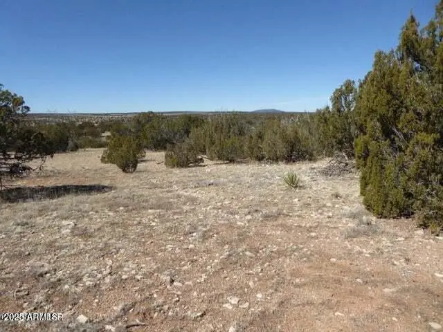 Sec 13 T14n, R16e:e2 Nw4 Se4 -- #'-', Heber, AZ 85928 - Image #2