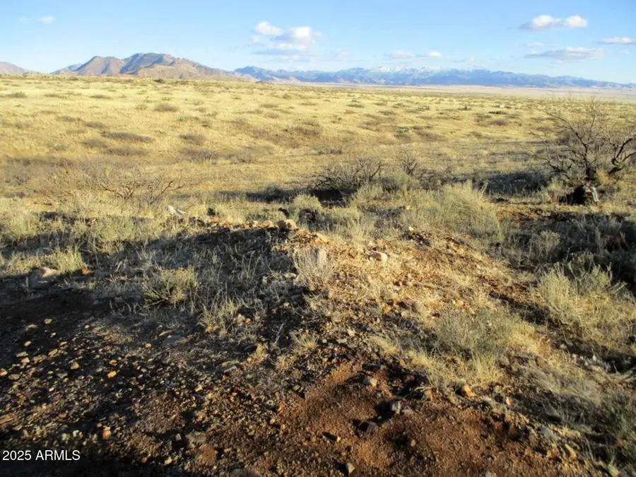 38.00ac E Love Lane #53, Willcox, AZ 85643 - Image #2