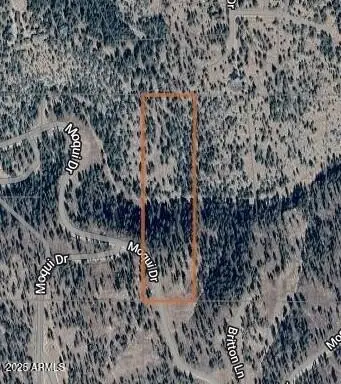 1129 W Moqui Drive #9, Happy Jack, AZ 86024