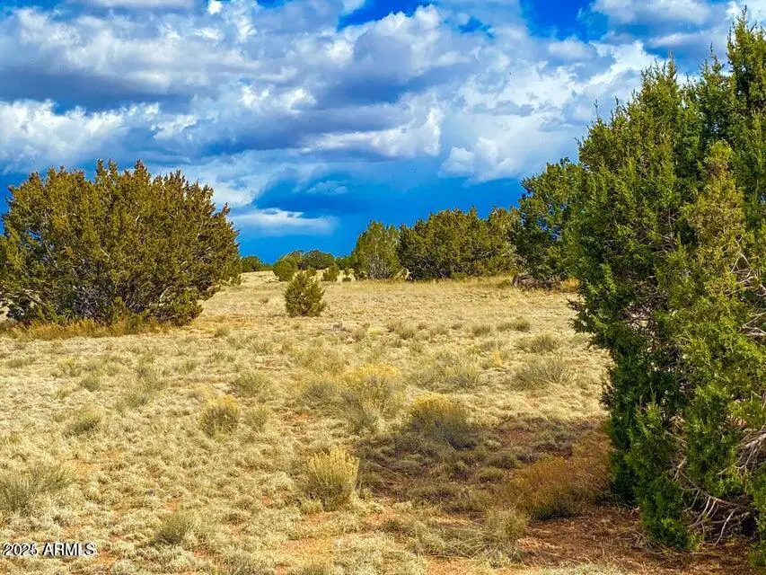 TBD Hyde Park Rd 10 Acres --, Seligman, AZ 86337 - Image #3