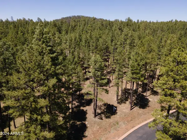 9586 Sierra Springs Way #7, Pinetop, AZ 85935