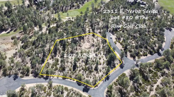 2311 E Yerba Serita -- #80, Payson, AZ 85541