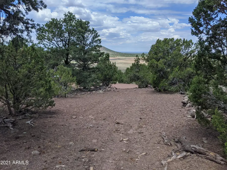 lot 76 Dolly Drive #76, Eagar Springerville, AZ 85940 - Image #2