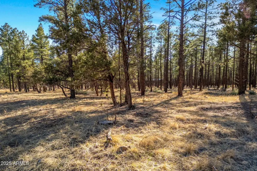 TBD Wilderness Drive #036J, Lakeside, AZ 85929 - Image #3