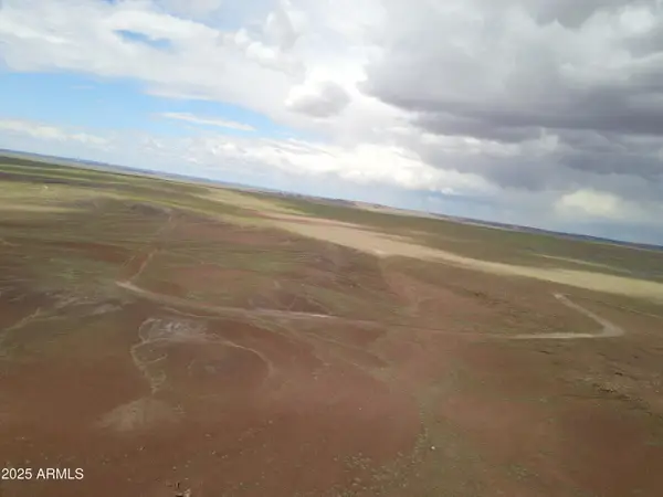 TBD 45 Acres At Carrizo Ranch -- #409, St Johns, AZ 85936