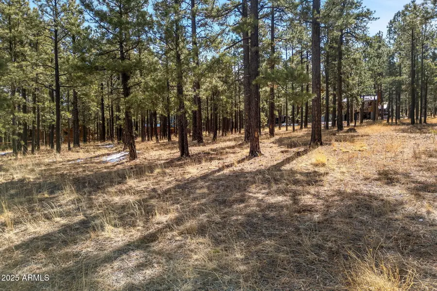 3 County Road N1062 -- #4, Eagar Springerville, AZ 85927 - Image #3