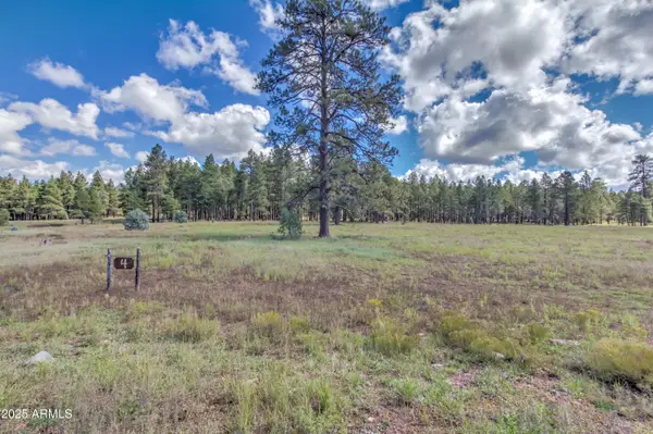 307 E Foxboro Road #4, Munds Park, AZ 86017