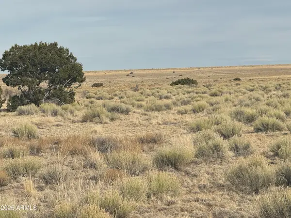 107 & 108 Elk Valley Ranch -- #107 &108, St Johns, AZ 85936