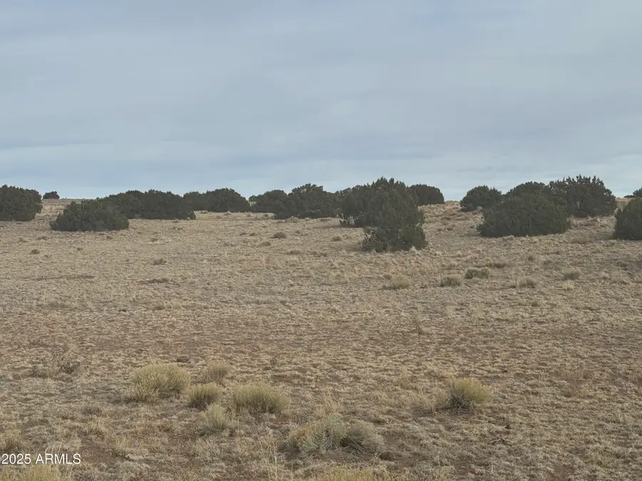 107 & 108 Elk Valley Ranch -- #107 &108, Saint Johns, AZ 85936 - Image #3