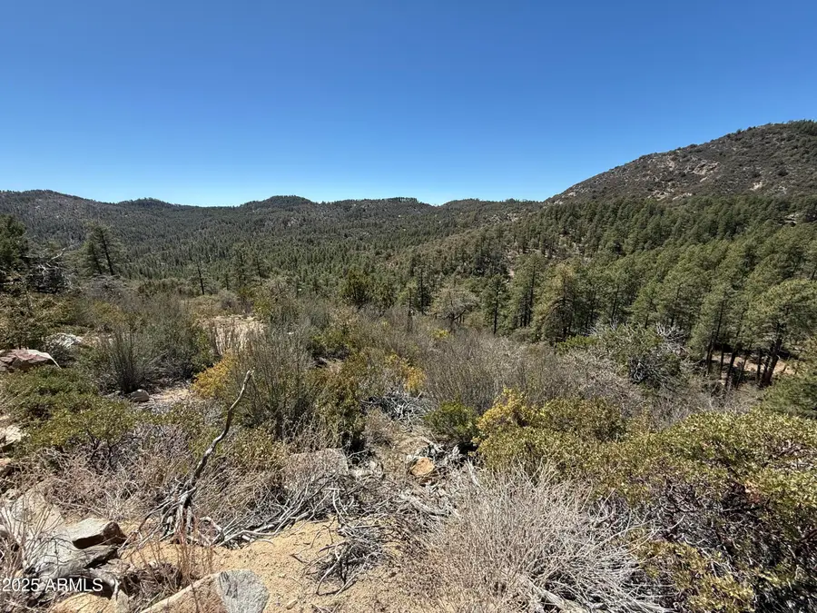 XX E Privateer Road, Crown King, AZ 86343 - Image #2