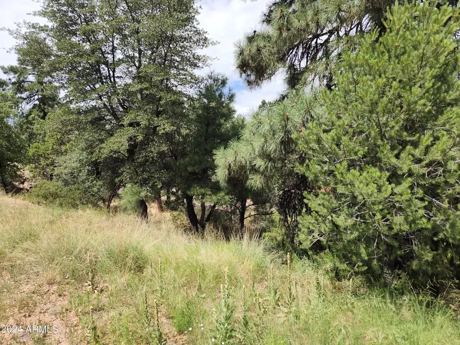 910 N Beeline Highway #89, Payson, AZ 85541 - Image #2