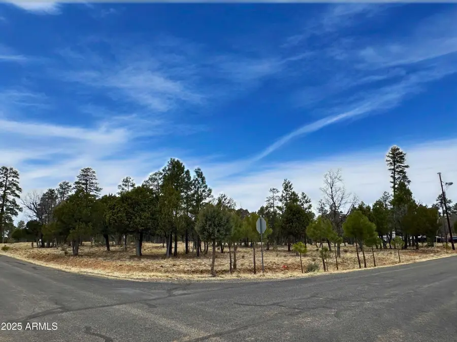 2120 Aztec Circle #171, Blue Ridge, AZ 86024 - Image #2