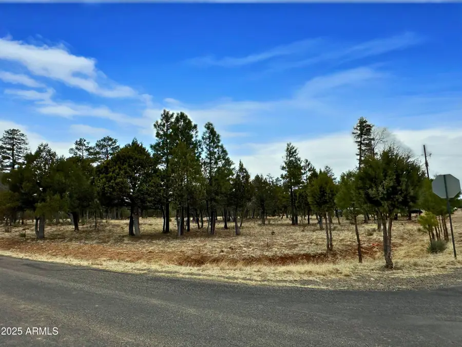 2120 Aztec Circle #171, Blue Ridge, AZ 86024 - Image #3