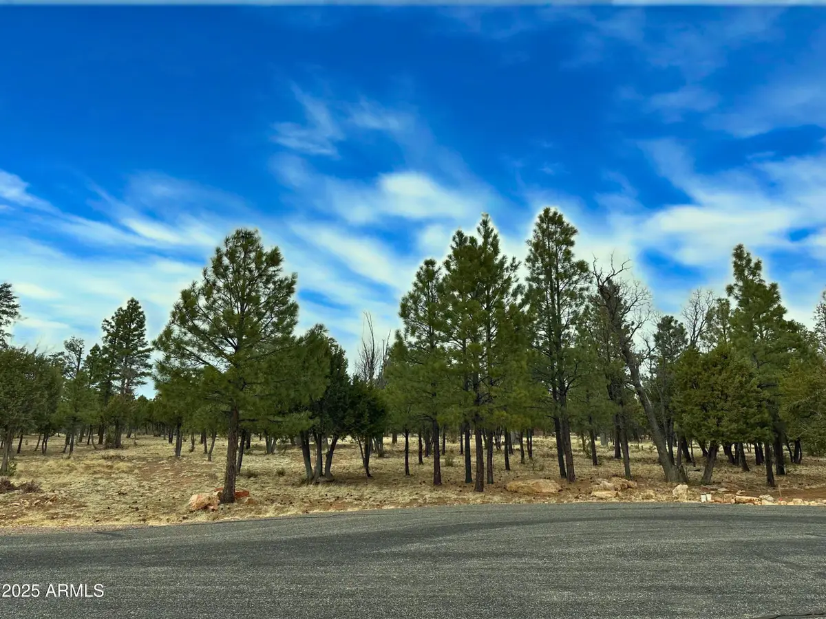 5823 Cripple Creek #259, Blue Ridge, AZ 86024 - Image #1