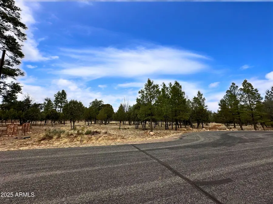 5823 Cripple Creek #259, Blue Ridge, AZ 86024 - Image #2
