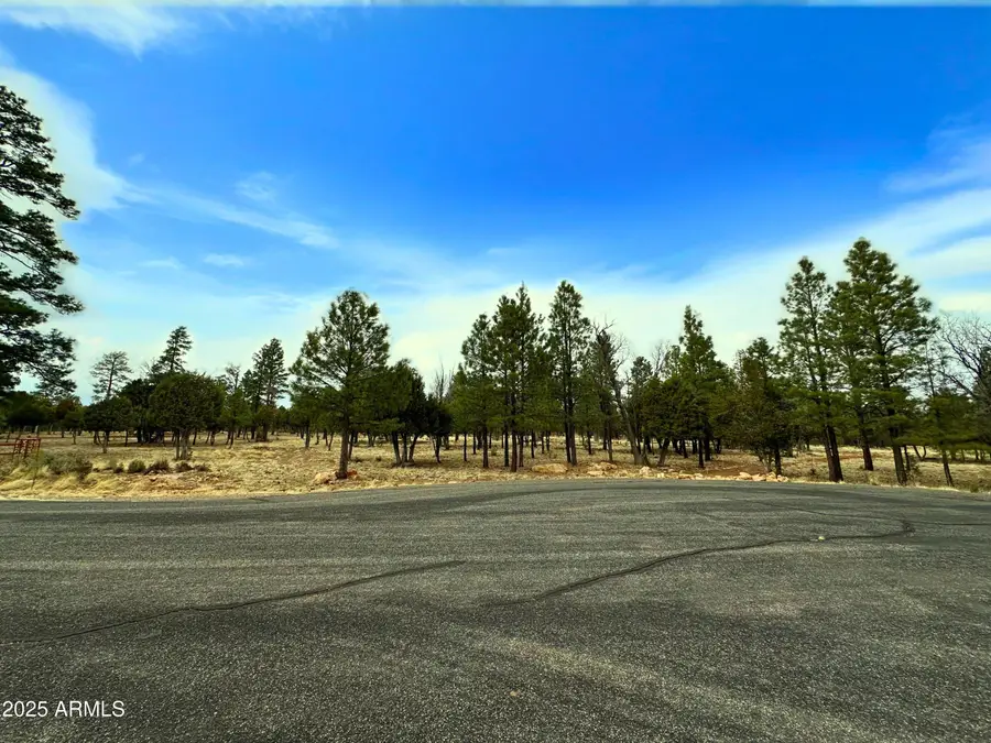 5823 Cripple Creek #259, Blue Ridge, AZ 86024 - Image #3