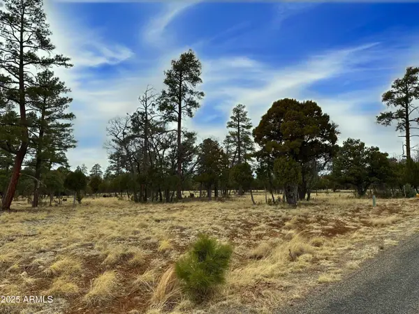 4109 Durango Drive #295, Happy Jack, AZ 86024