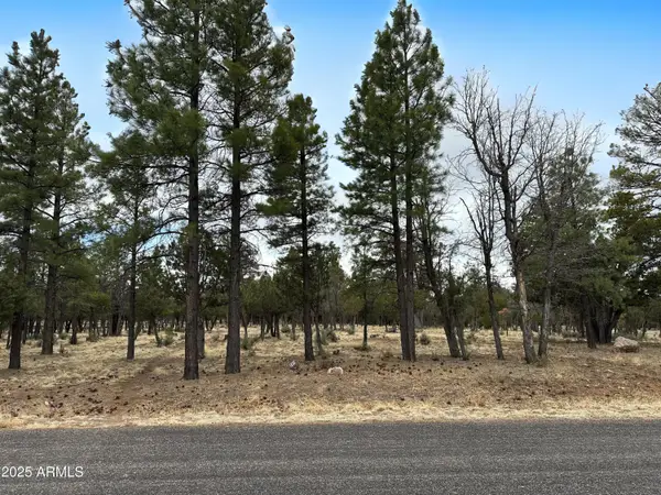 3431 Durango Drive #205, Happy Jack, AZ 86024