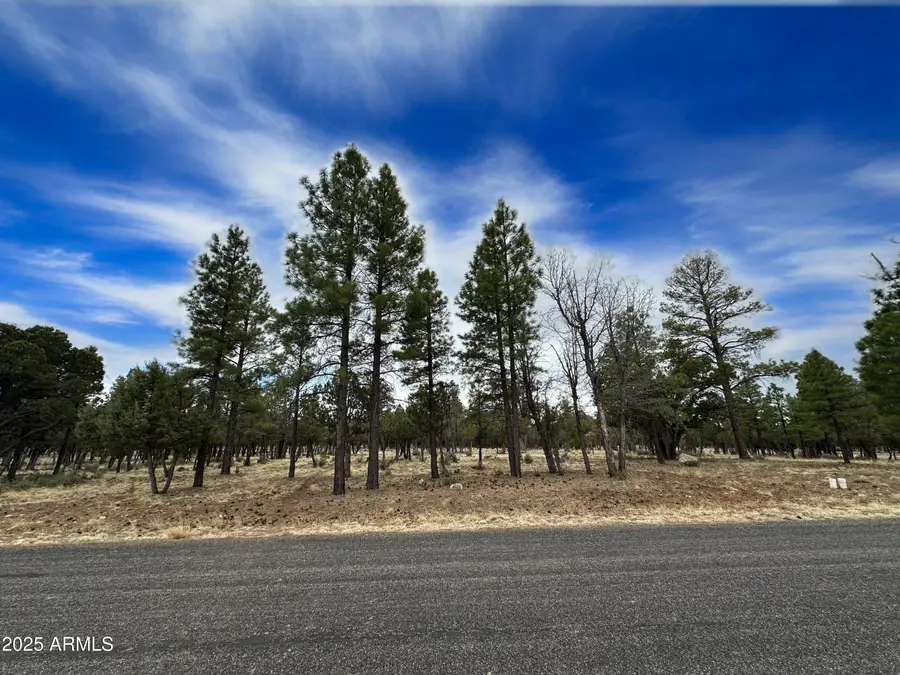 3431 Durango Drive #205, Blue Ridge, AZ 86024 - Image #2