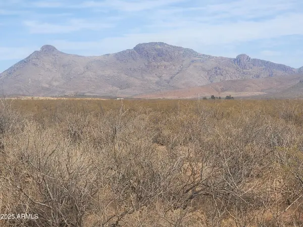 xxx 406-30-273 -- #245, Douglas, AZ 85607