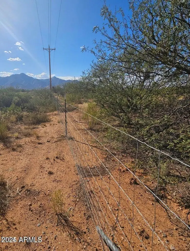 TBD 8 Ac's Off Desert Sumac -- #A, Hereford, AZ 85615 - Image #3