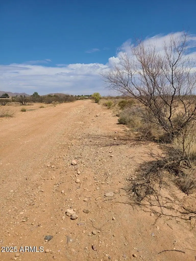 xxxx Tbd 4th Street #8, Douglas, AZ 85607 - Image #2