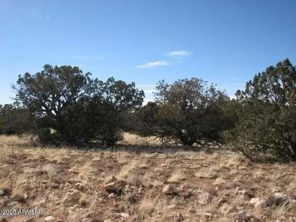 6251 Dry Pasture Run Lot 216 -- #216, Heber, AZ 85928