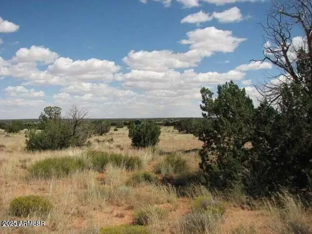 6251 Dry Pasture Run Lot 216 -- #216, Winslow Holbrook, AZ 85928 - Image #2