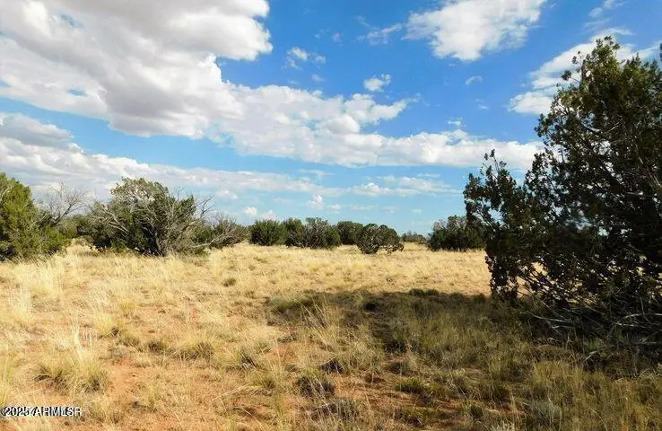 6251 Dry Pasture Run Lot 216 -- #216, Winslow Holbrook, AZ 85928 - Image #3