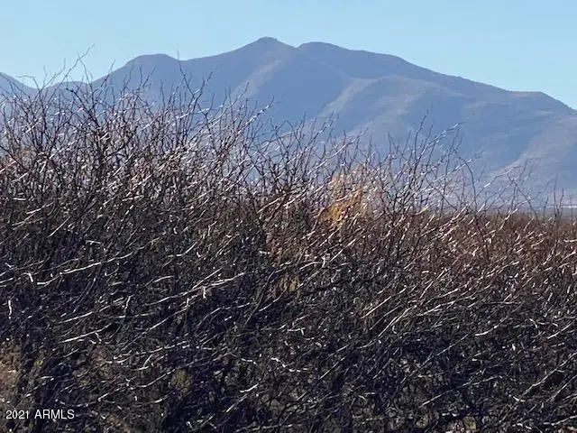 TBD W No Name Off Acorn 40 Ac's -- #25, McNeal, AZ 85617 - Image #1