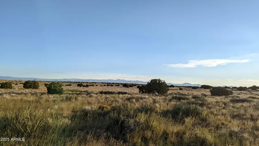 202 County Road N6451 -- #316, Saint Johns, AZ 85936 - Image #2