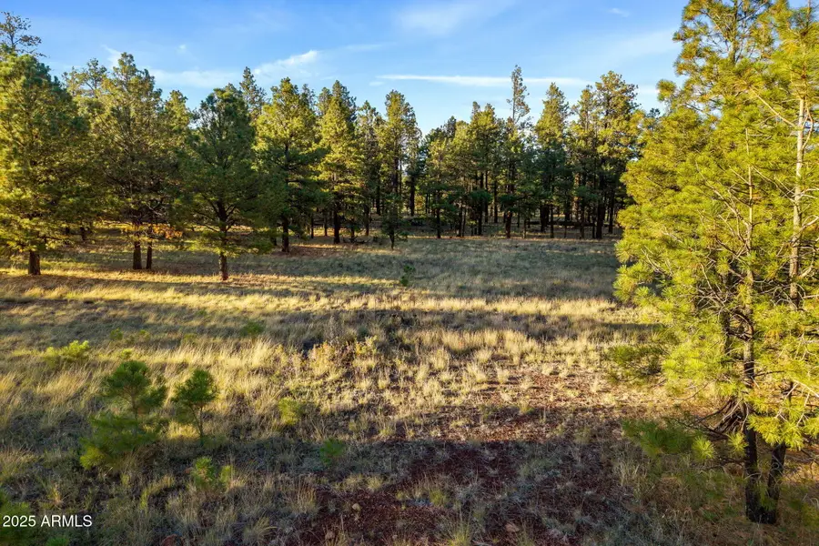 7 N County Road N1332 -- #46, Eagar Springerville, AZ 85927 - Image #2