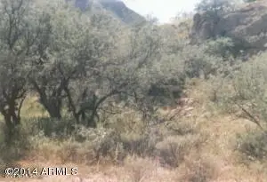 155 E Circulo Milpas Road #155, Rio Rico, AZ 85648 - Image #3