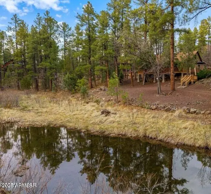 571 W Pine Shadow Drive, Pinetop Lakeside, AZ 85929 - Image #2