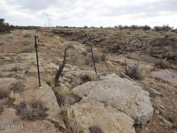 Lot 301 Chevelon Canyon Ranch -- #301, Heber, AZ 85928