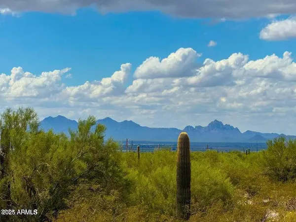 0 S Twin Hawk Ln Lot #4 5 Acres --, Marana, AZ 85658