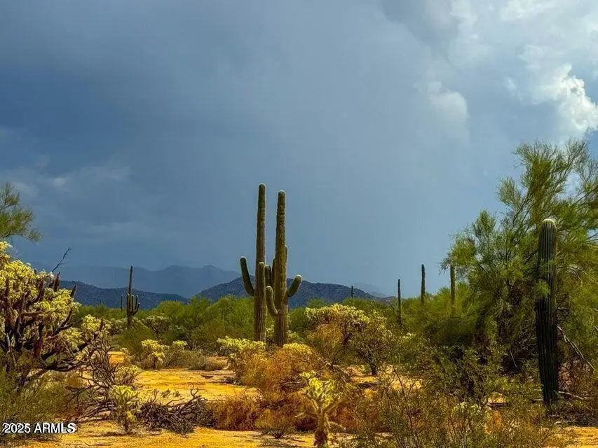 0 S Twin Hawk Ln Lot #4 5 Acres --, Marana, AZ 85658 - #2