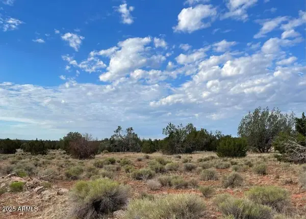 000 Via De Oro -- #1332, Seligman, AZ 86337